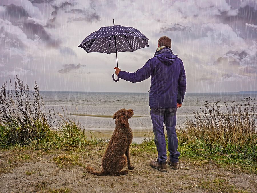 Data protection partner Data protection partner