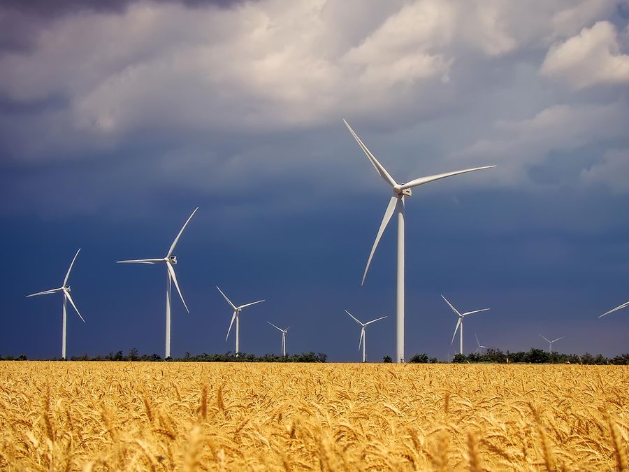 Datenschutz_Cloud Print and Scan Datenschutz_Cloud Print and Scan