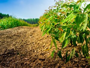 Nachhaltigkeit_Papier Nachhaltigkeit_Papier